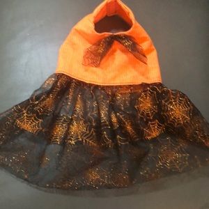 Beautiful Halloween dress for dog or cat size S.